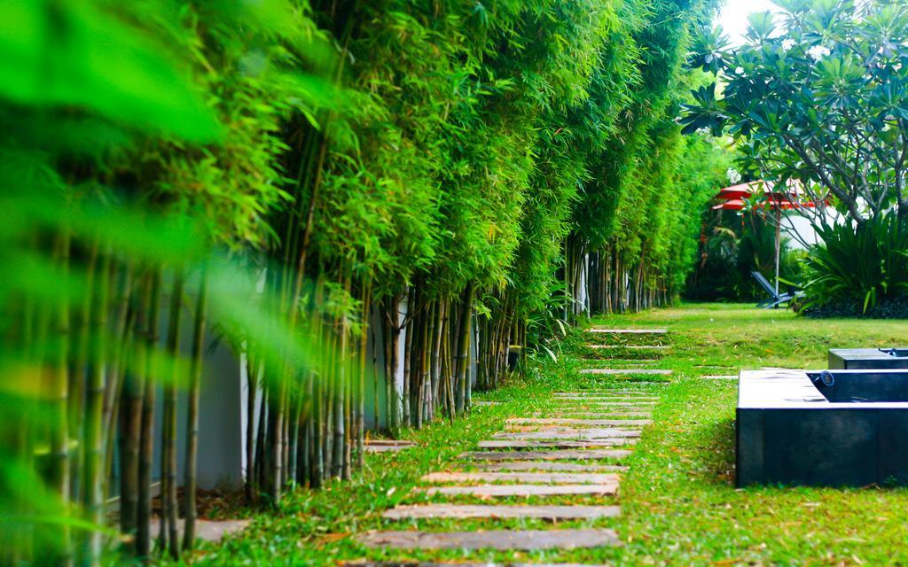 ปาล์มโกลฟรีสอร์ท พัทยา 4*